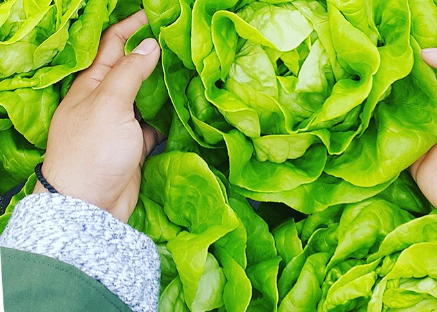 15 juni: event voor (potentiële) investeerders