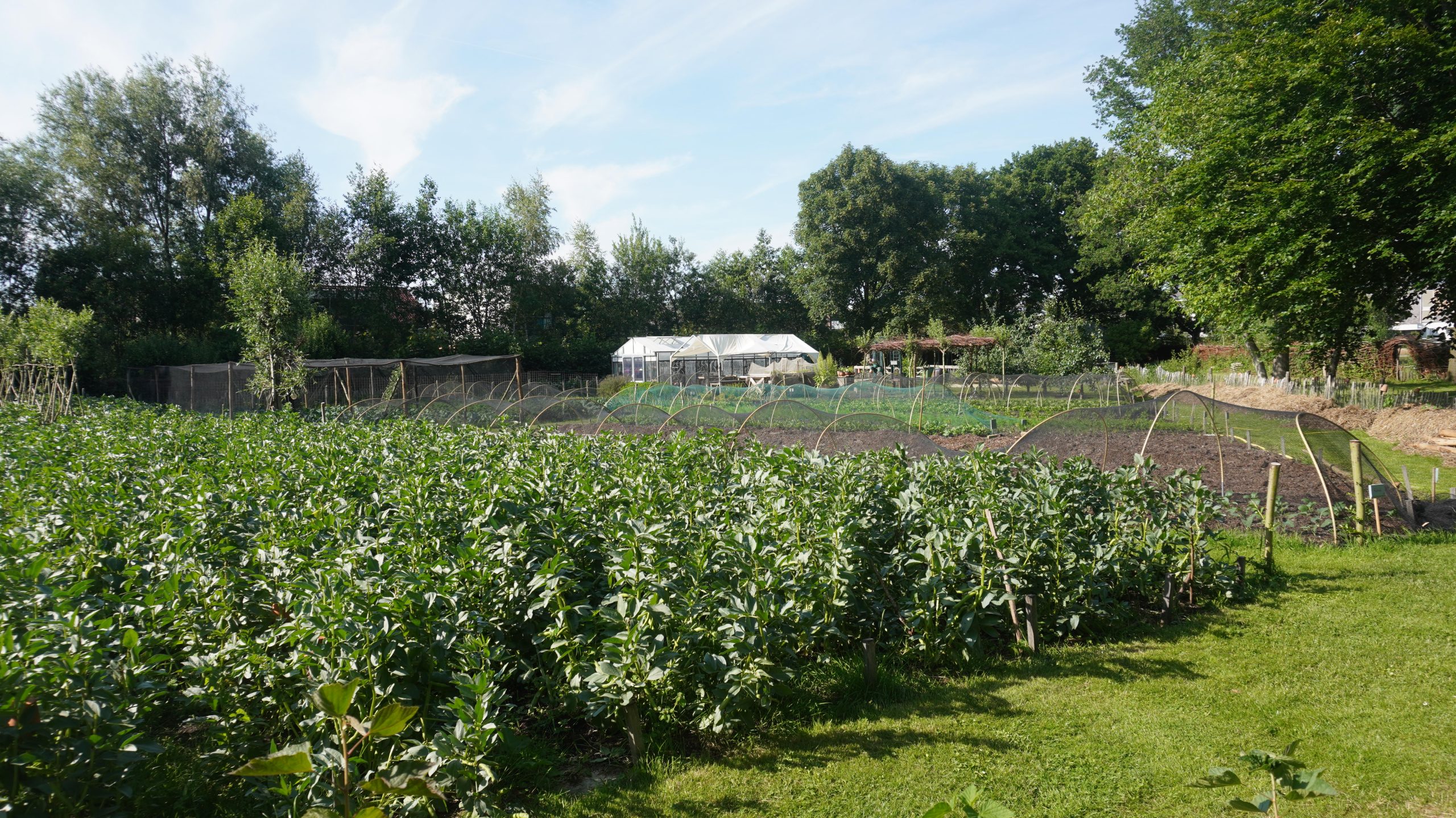 De Plaatsen is vierde knop die transitie vaart geeft
