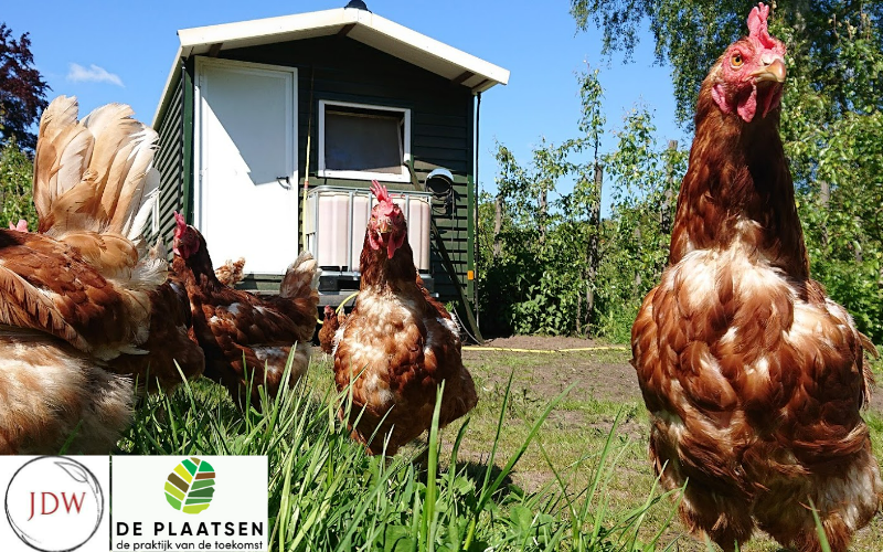 Werkgroep juristen stimuleert landbouwtransitie, vooral praktisch