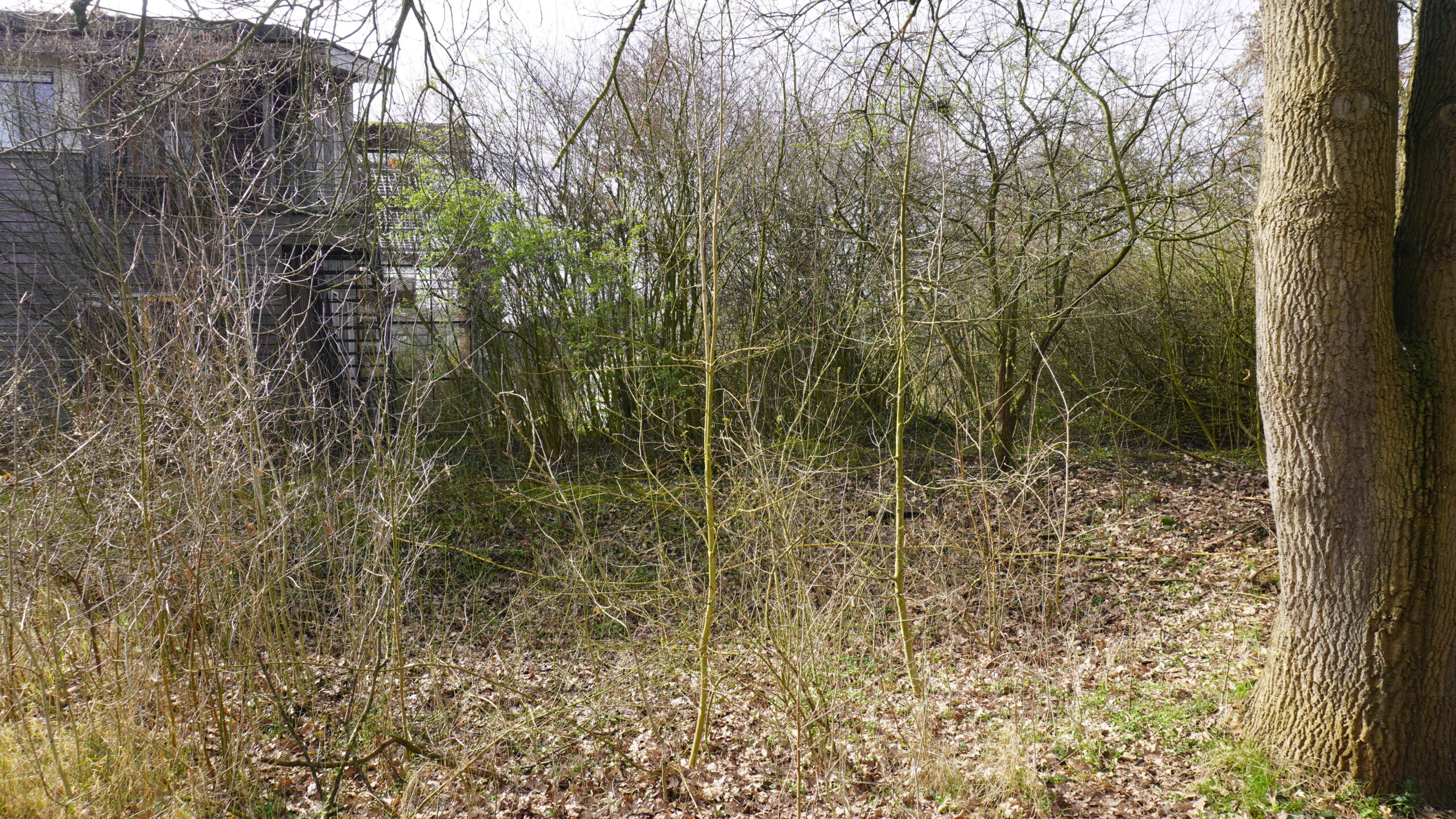 Wereldwaterdag start voor De Dommel in helofytenfilter op Plaats De Kleine Aarde