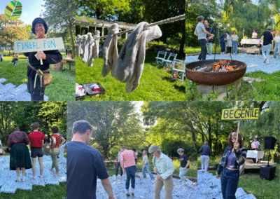 Gentle Disco als fundament voor duiventoren