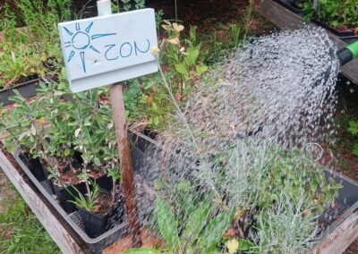 Groei mee op Plaats De Kleine Aarde, als vrijwilliger