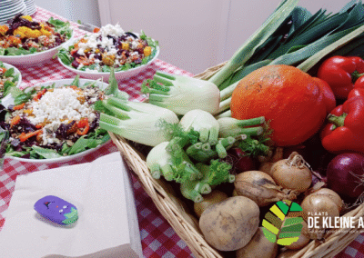 We starten met de programmering. Test je mee?